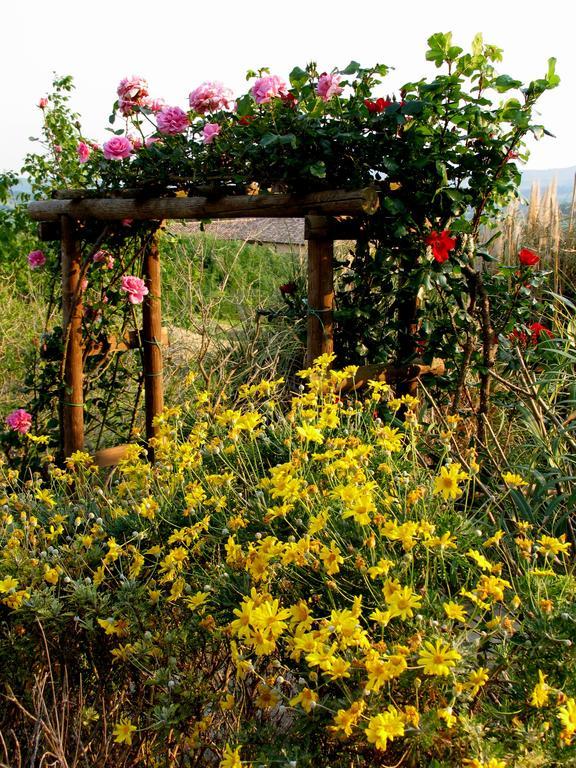 Poggio Della Quercia Villa มันชาโน ภายนอก รูปภาพ