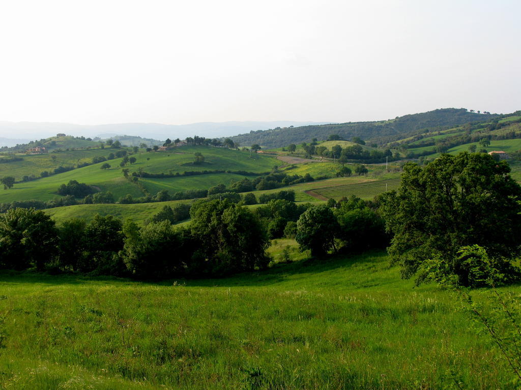 Poggio Della Quercia Villa มันชาโน ภายนอก รูปภาพ